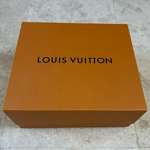 Louis vuitton x 6 - louis,